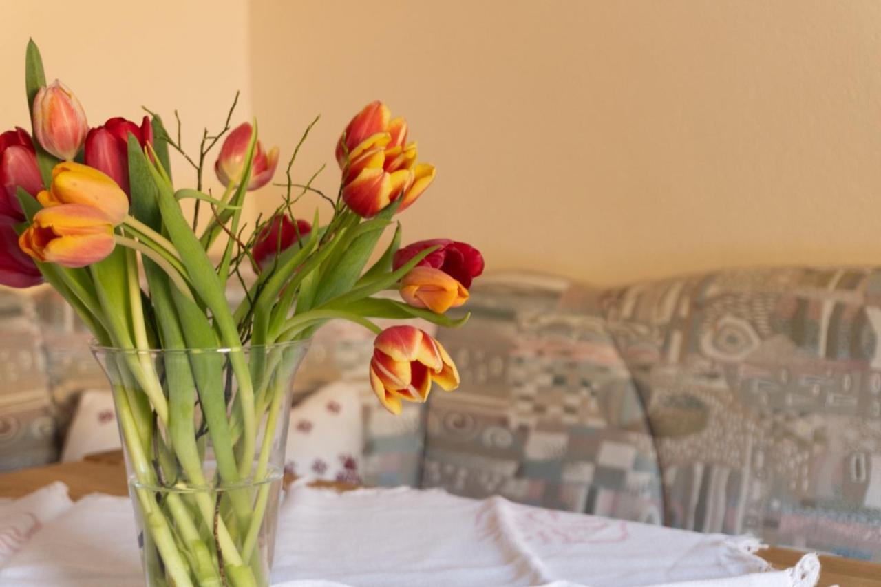 Pension Trillerhof Ramsau am Dachstein Bagian luar foto