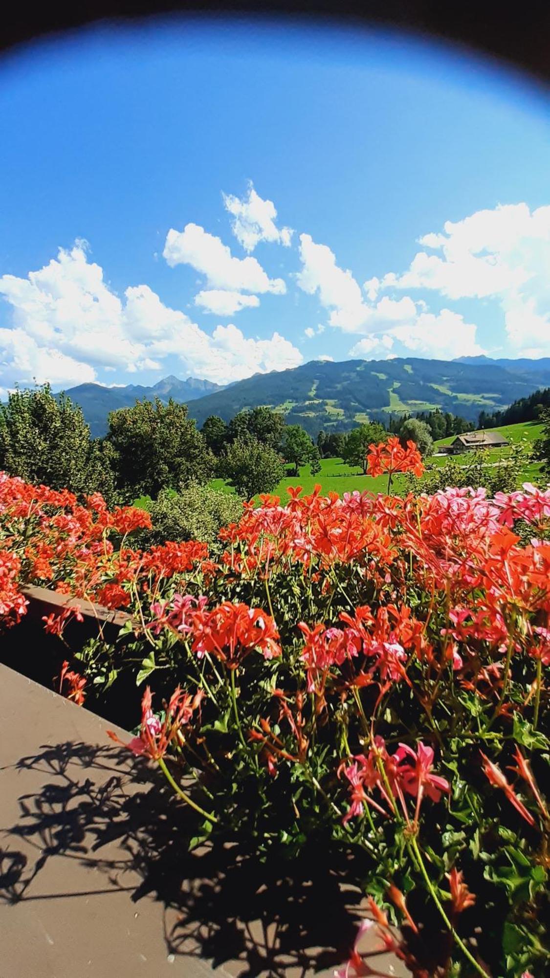 Pension Trillerhof Ramsau am Dachstein Bagian luar foto