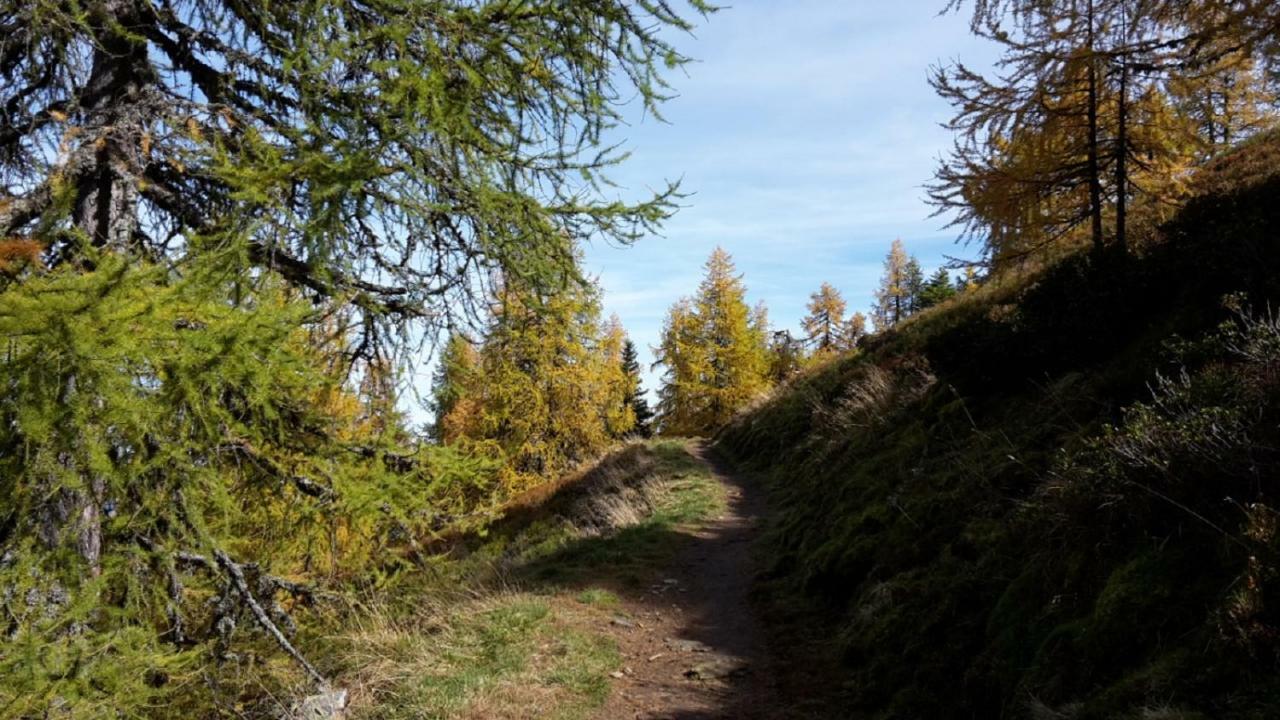 Pension Trillerhof Ramsau am Dachstein Bagian luar foto
